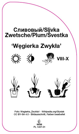 Slivoně 'Welsh honeysuckle'