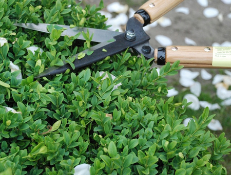 Nůžky na živý plot 204 OKATSUNE