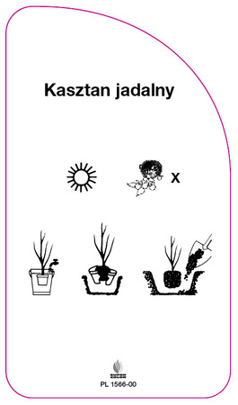 Kaštan