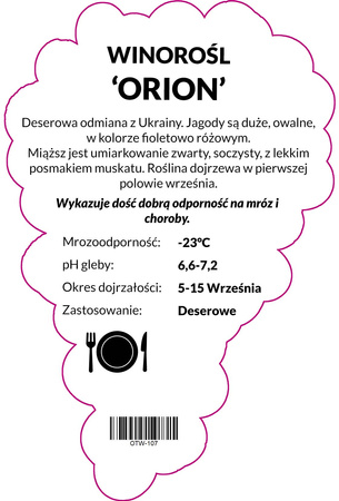 Winorośl Orion