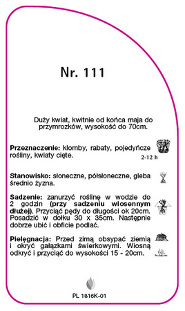 Sleva růže č. 111