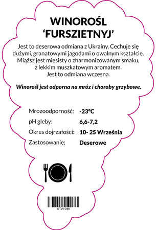 Viță de vie Furszetnyj