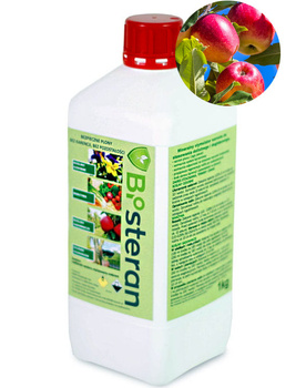 Bisteran ( Huwa San ) 1kg Roam Technology