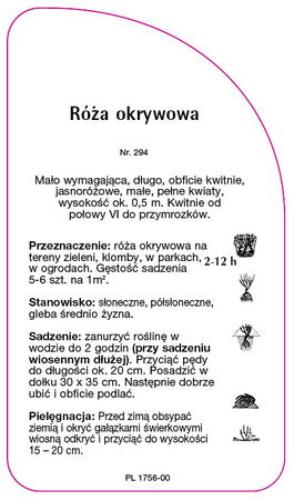 Róza okrywowa Nr. 294