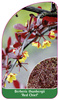 Berberis thunbergii "Red Chief