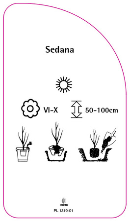 Sedana