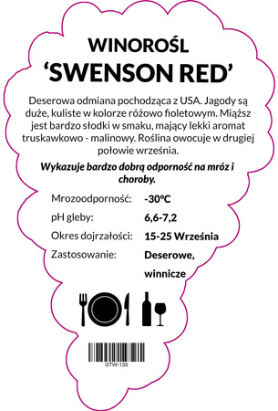 Winorośl Swenson Red