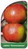 Jablon 'Gravensteiner'