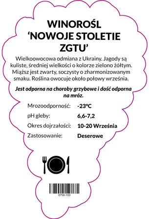Grapevine Novye Stoletie ZGTU