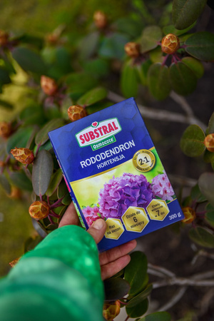 Osmocote-Dünger für Rhododendren 300g SUBSTRAL