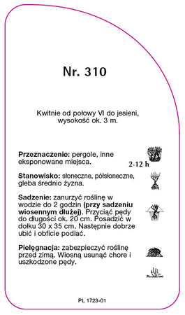 Urcarea trandafirului Nr. 310