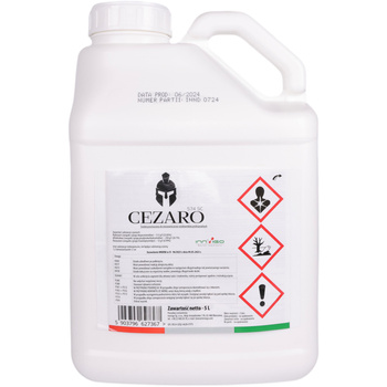 Cezaro 574 DC 5L Innvigo