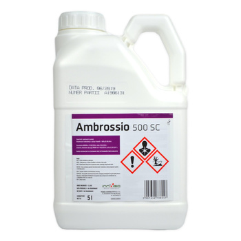 Ambrossio 500 SC 5L Innvigo