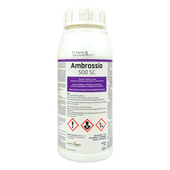 Ambrossio 500 SC 0,5L Innvigo