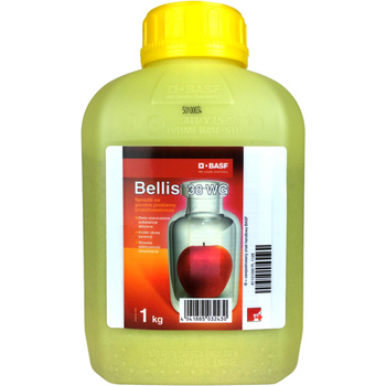 Bellis 38 WG 1kg Basf