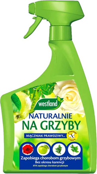 Resolva Natura choroby grzybowe 800ml Westland