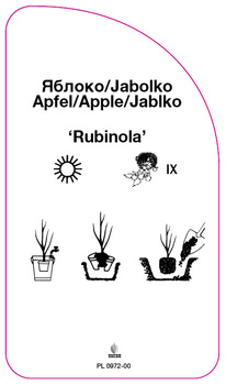 Jabłoń 'Rubinola'