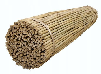 Stâlpi de bambus 180cm 16/18mm 100pcs